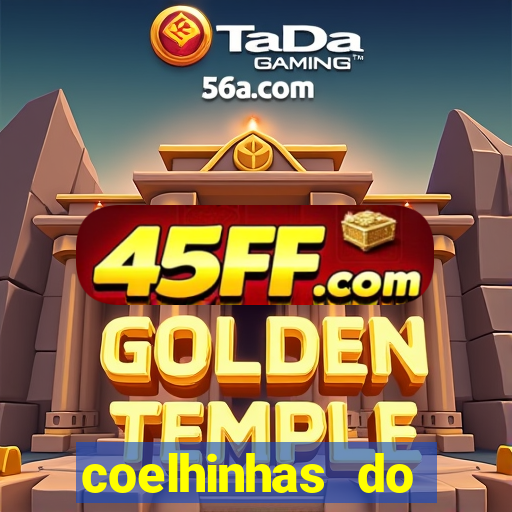 coelhinhas do brasil acompanhantes